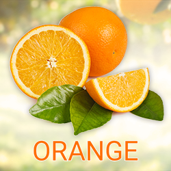 Orange Juice Powder product image