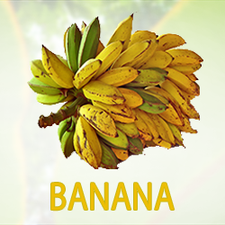 Banana Powder (organic) product image