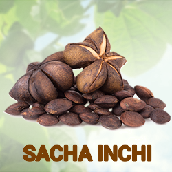 Sacha Inchi Protein Powder (organic) product image