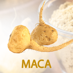 Maca Root Powder (organic) product image