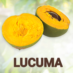 Lucuma Powder (organic) product image