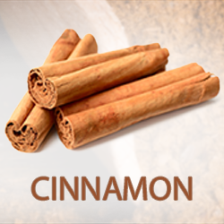 Ceylon Cinnamon Powder (organic) product image