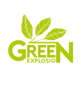 GREEN EXPLOSION INC logo