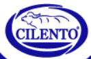 CILENTO S.p.A. logo