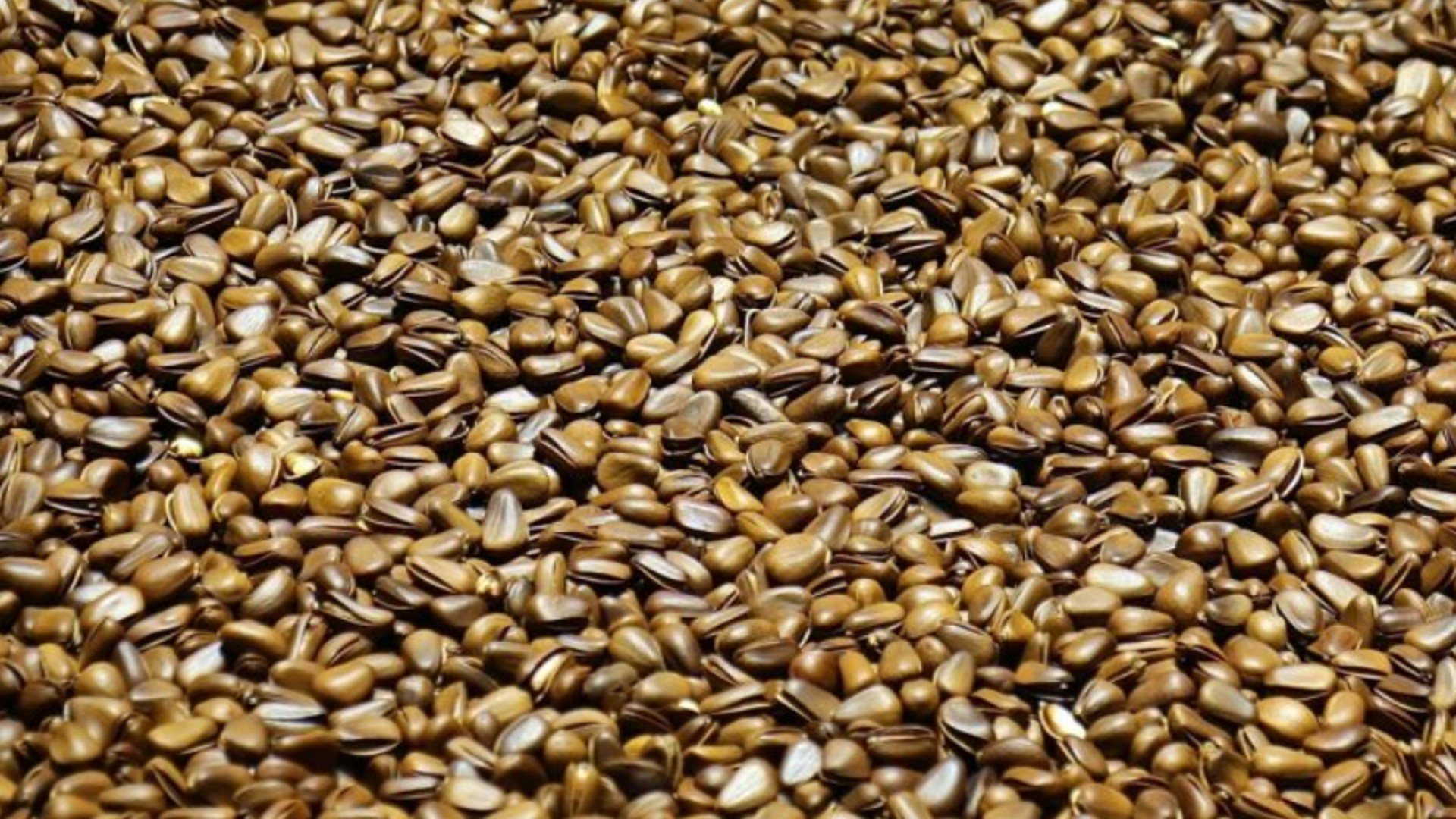 Flaxseed Oil Organic product image