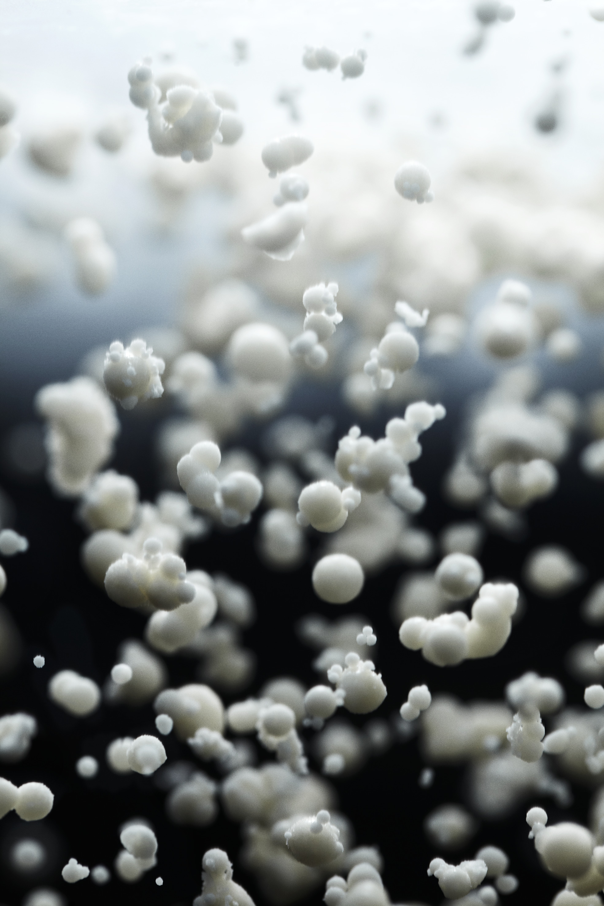 F-DVS eXact® KEFIR 12\10X500U product image