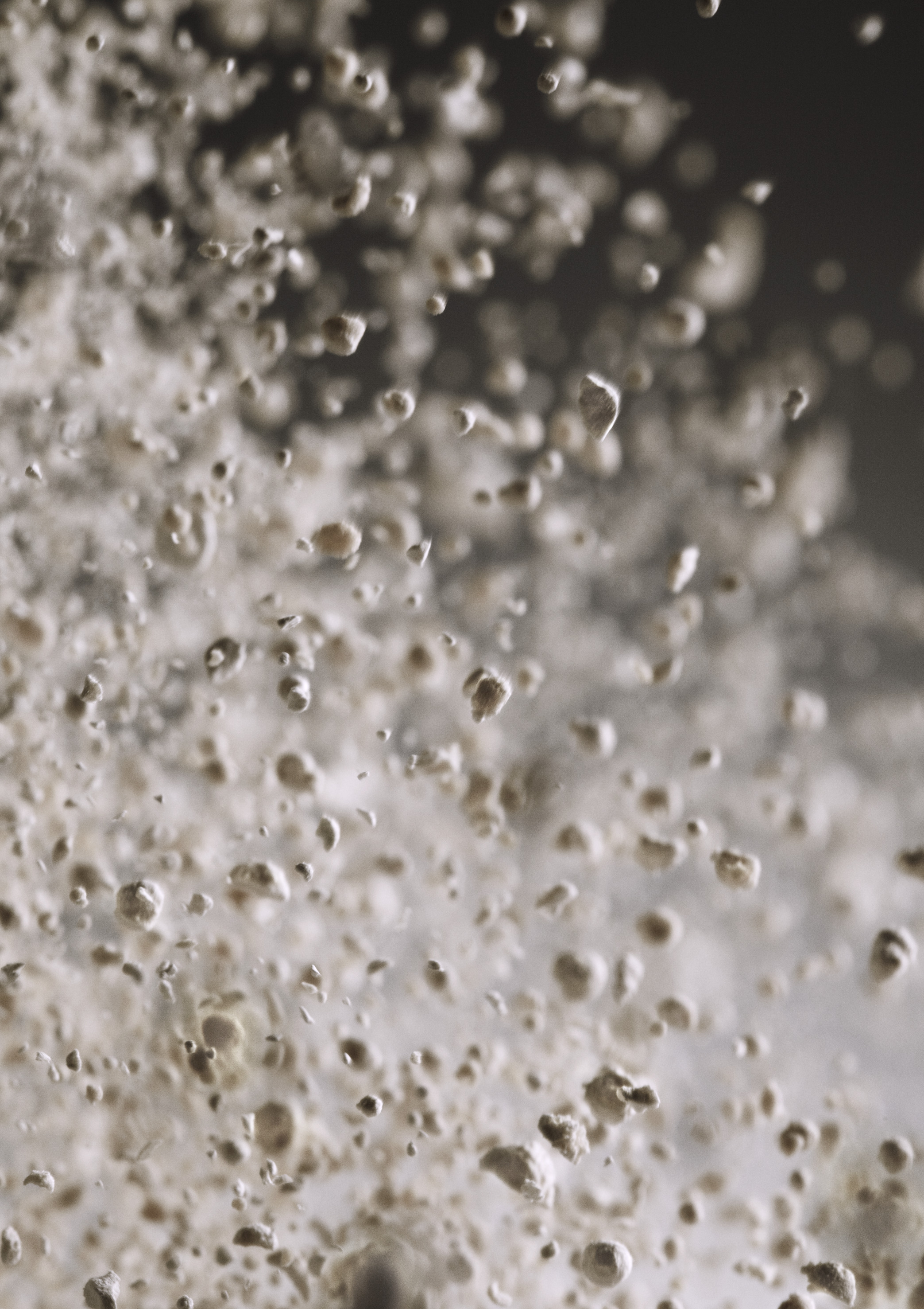 B-FLC-55 US 20x100g/600kg product image