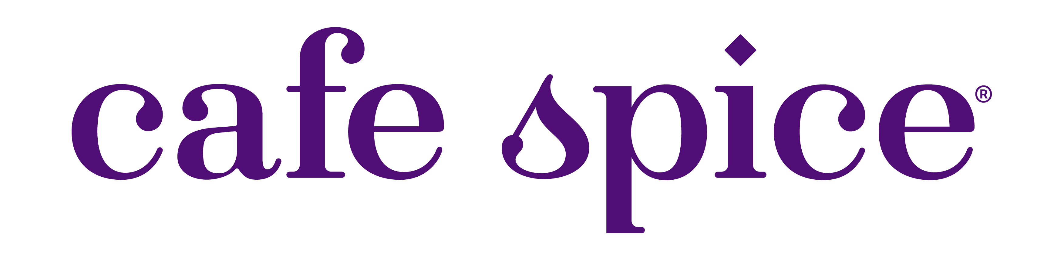 Cafe Spice LLC logo