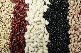 Organic Edible Beans product image