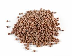Organic Red/Brown Lentils product image