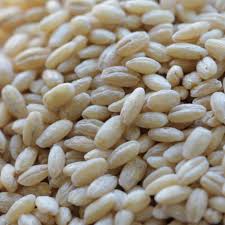 Organic Pearled Barley product image