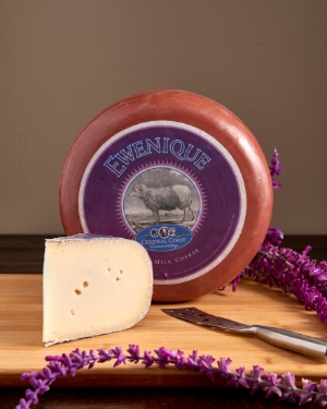 Ewenique Sheep Gouda Full RW Wheel product image