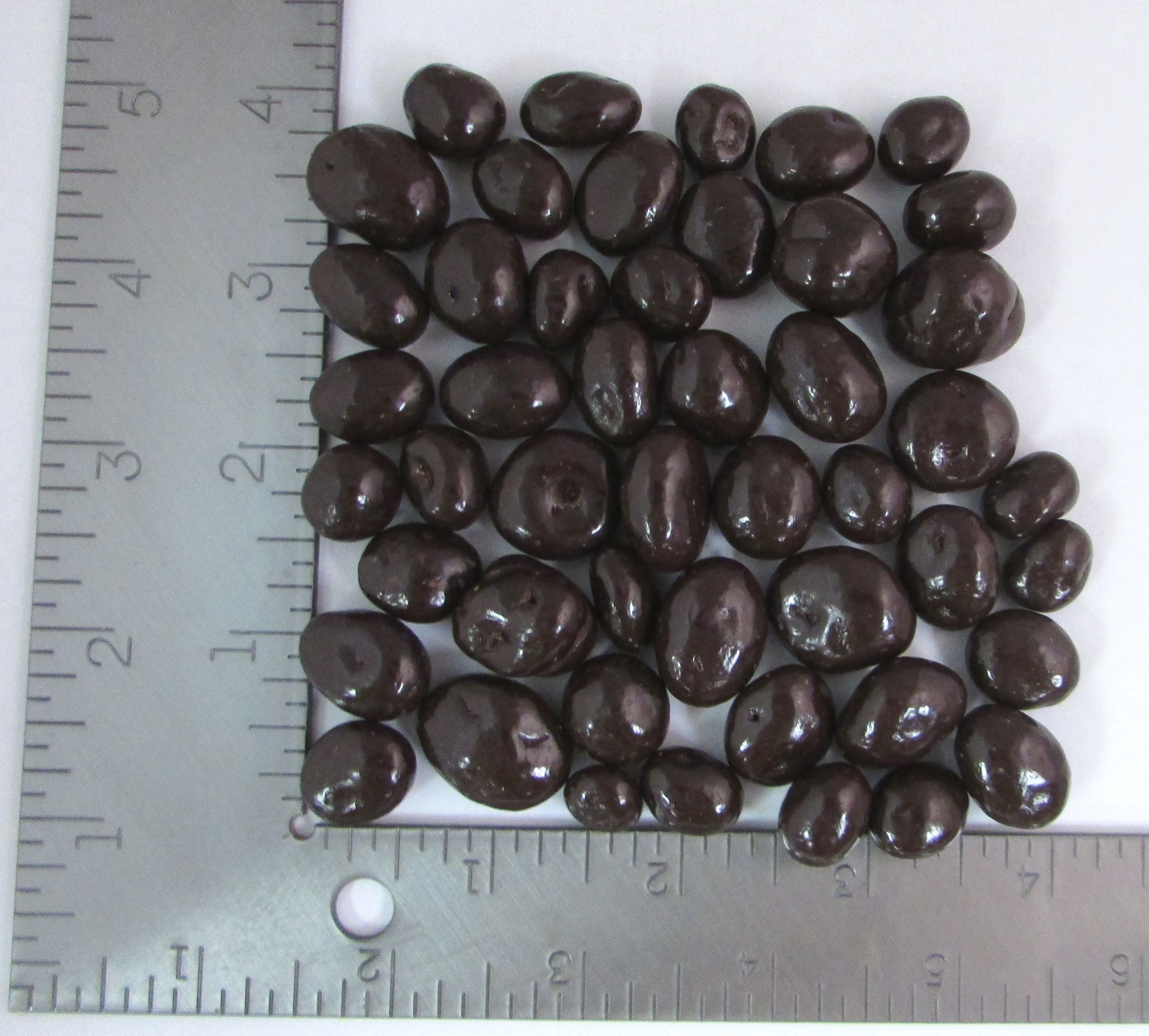 Dark Chocolate Raisin product image