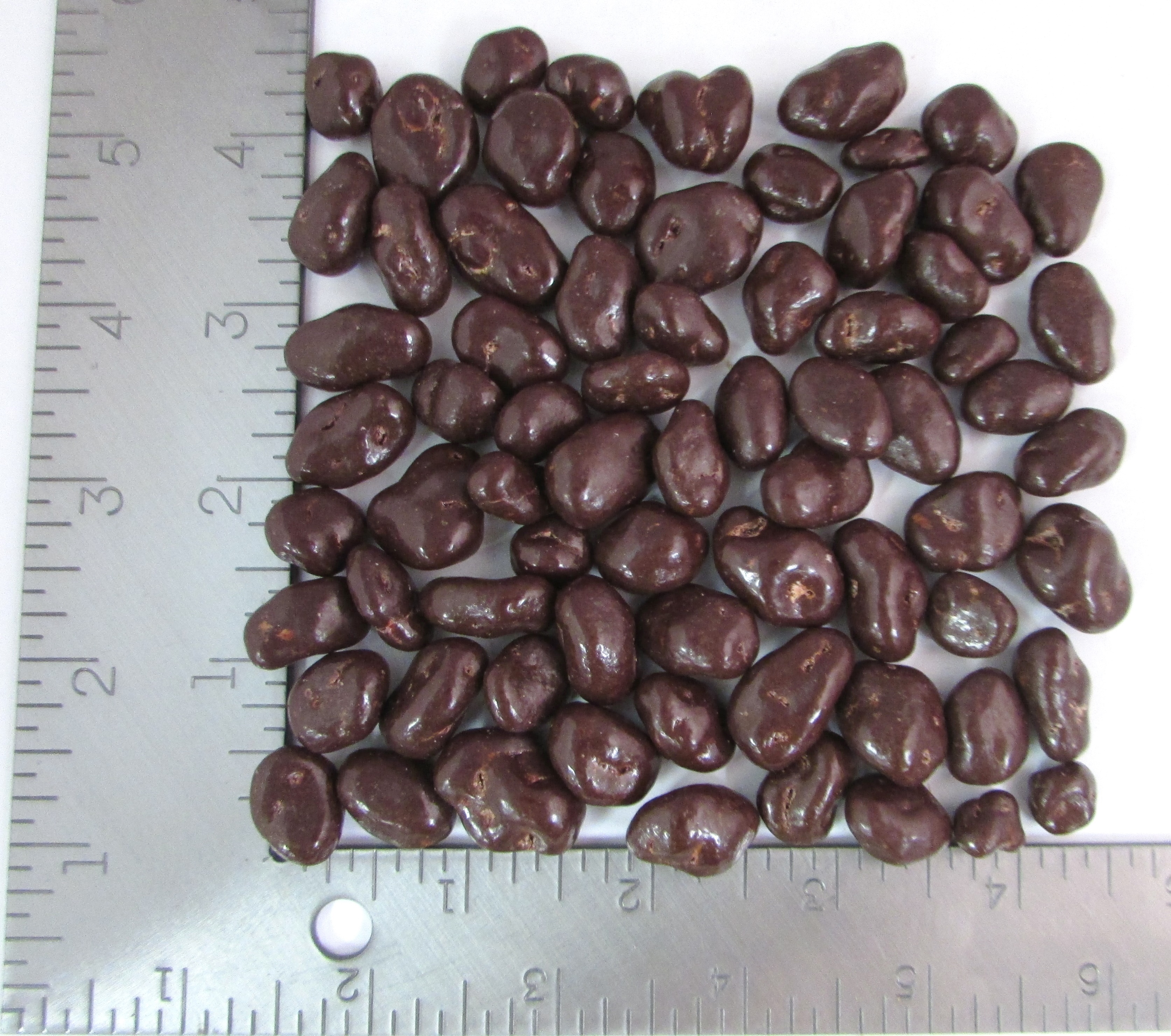 ORGANIC DK CHOC RAISINS 25# product image