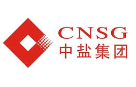 中盐东兴盐化股份有限公司 logo