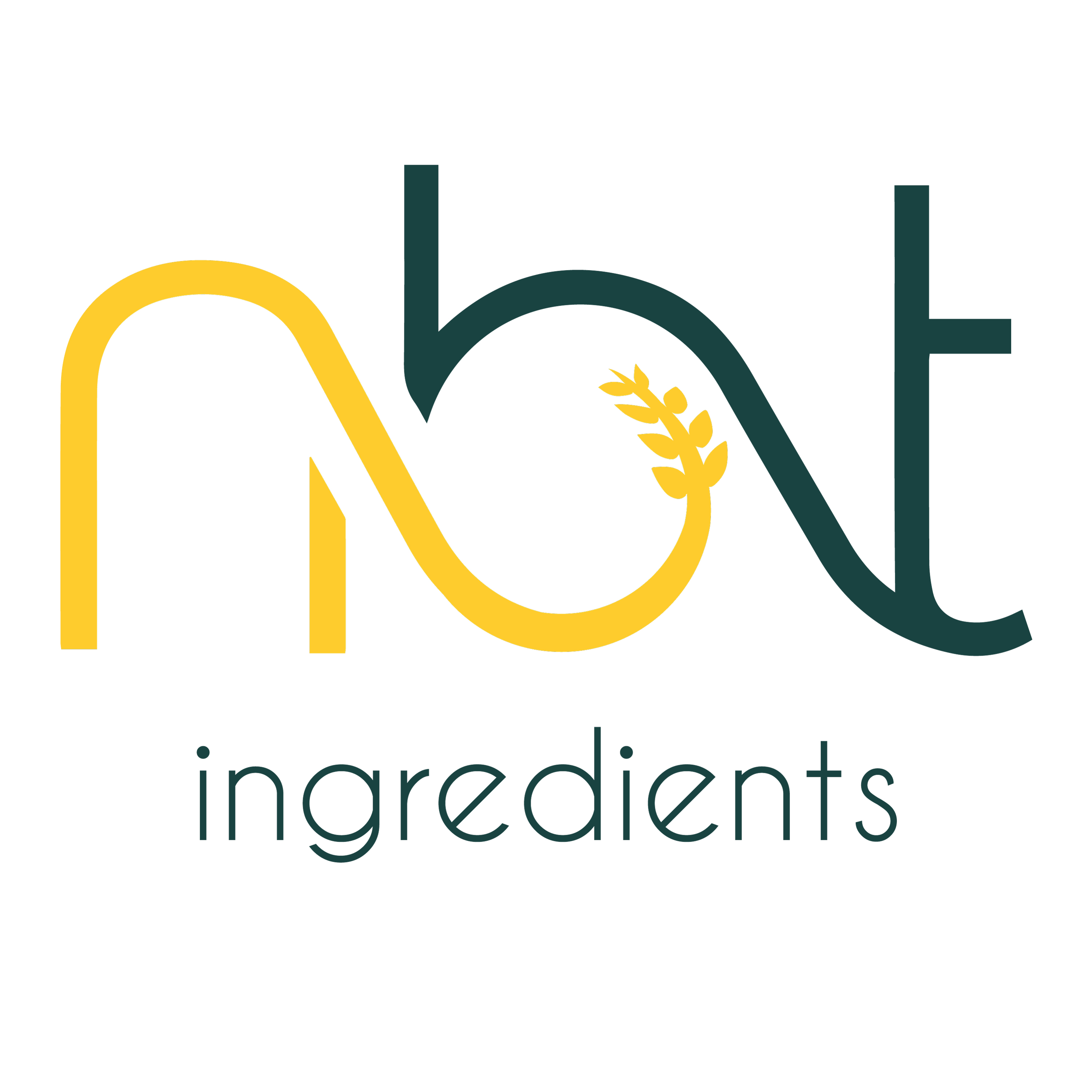 NBT Ingredients logo