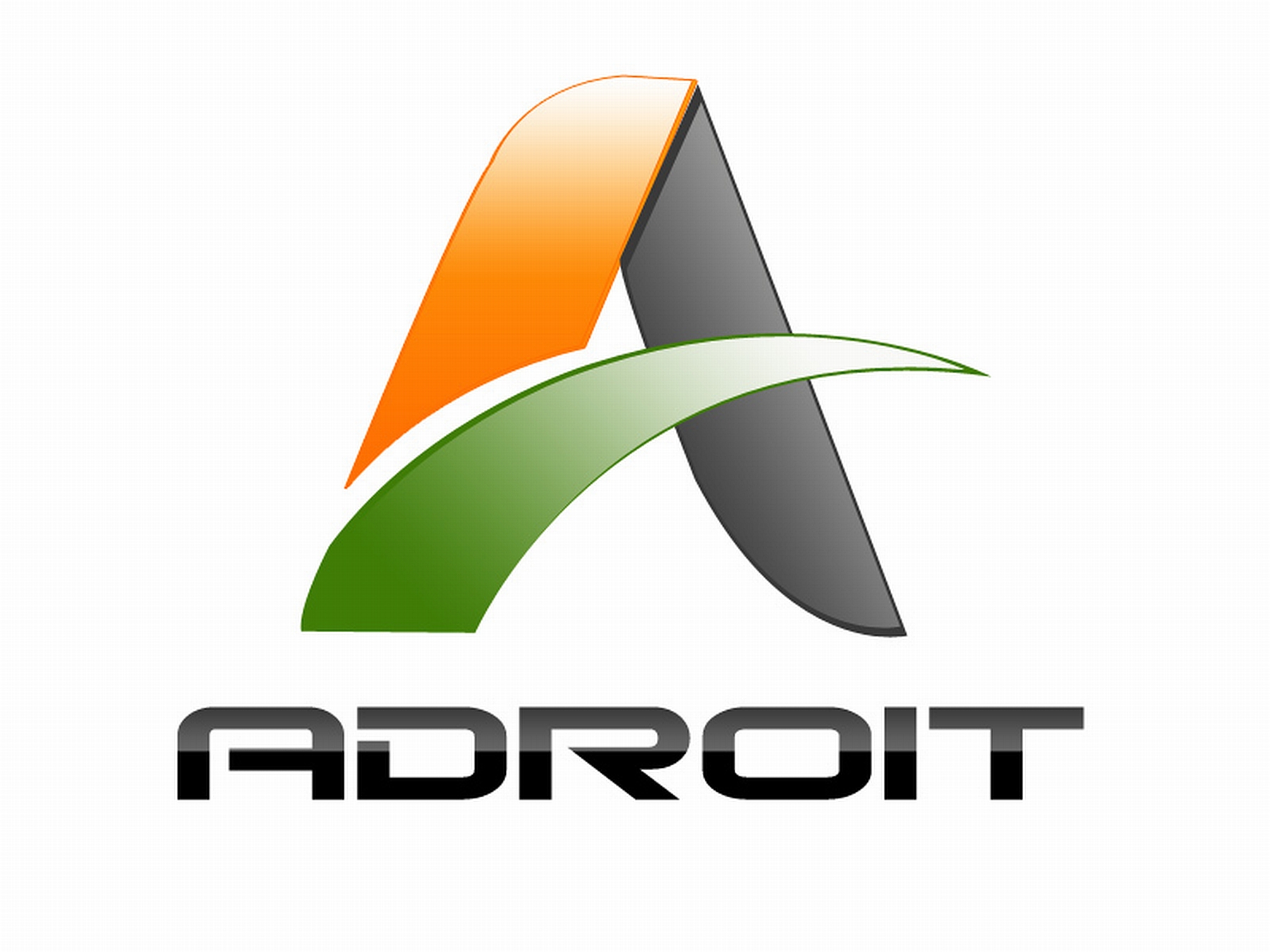 ADROIT OVERSEAS ENTERPRISES LTD logo