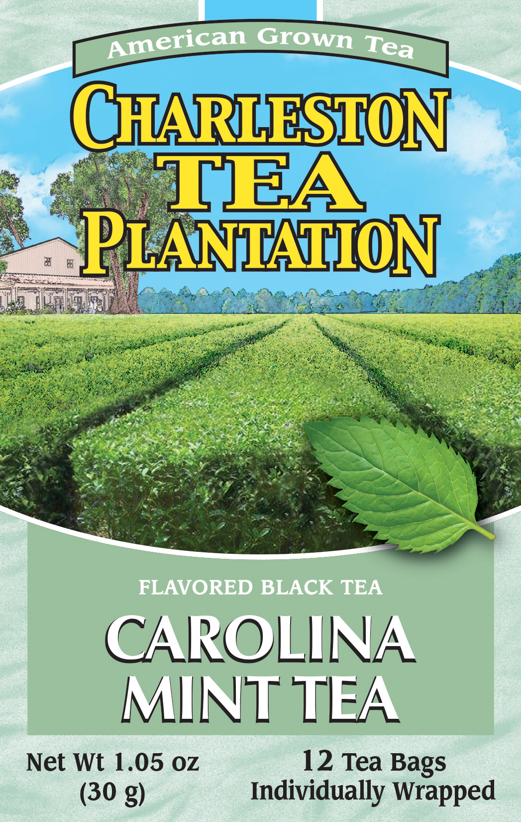 Carolina Mint product image