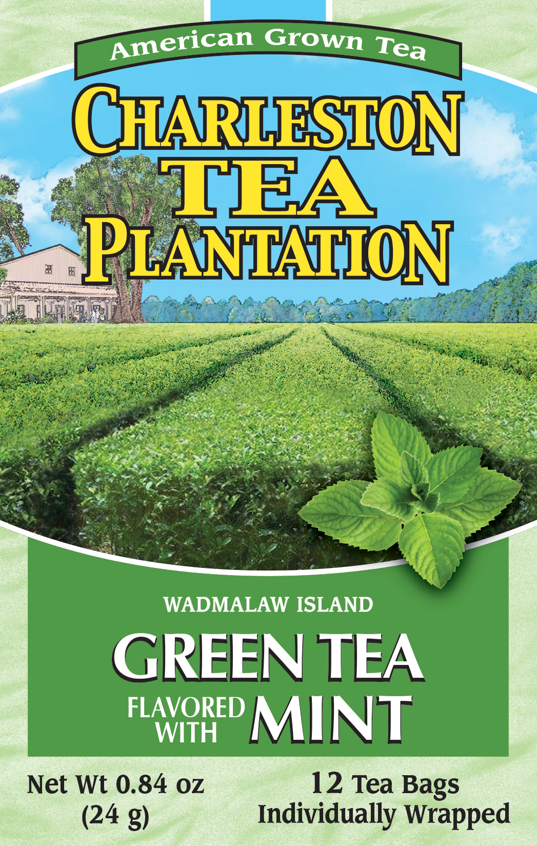 Green Tea with Mint product image