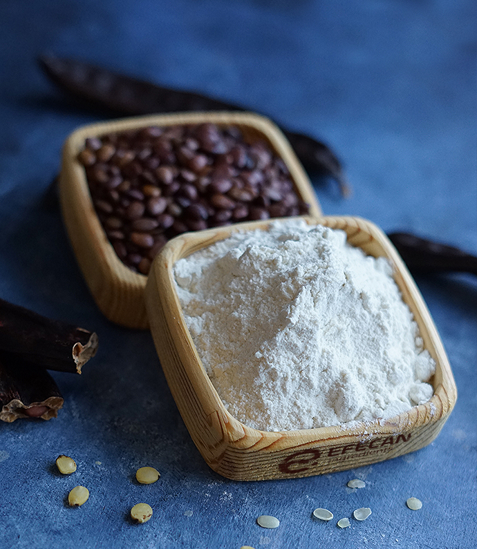 Locust Bean Gum - Premium Grade Type EE2800 product image