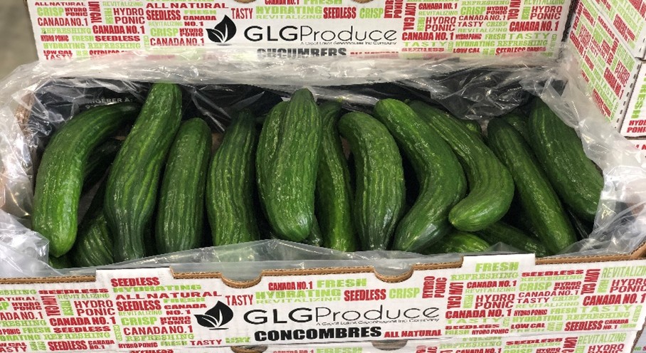 #2 Curly LE Cukes product image
