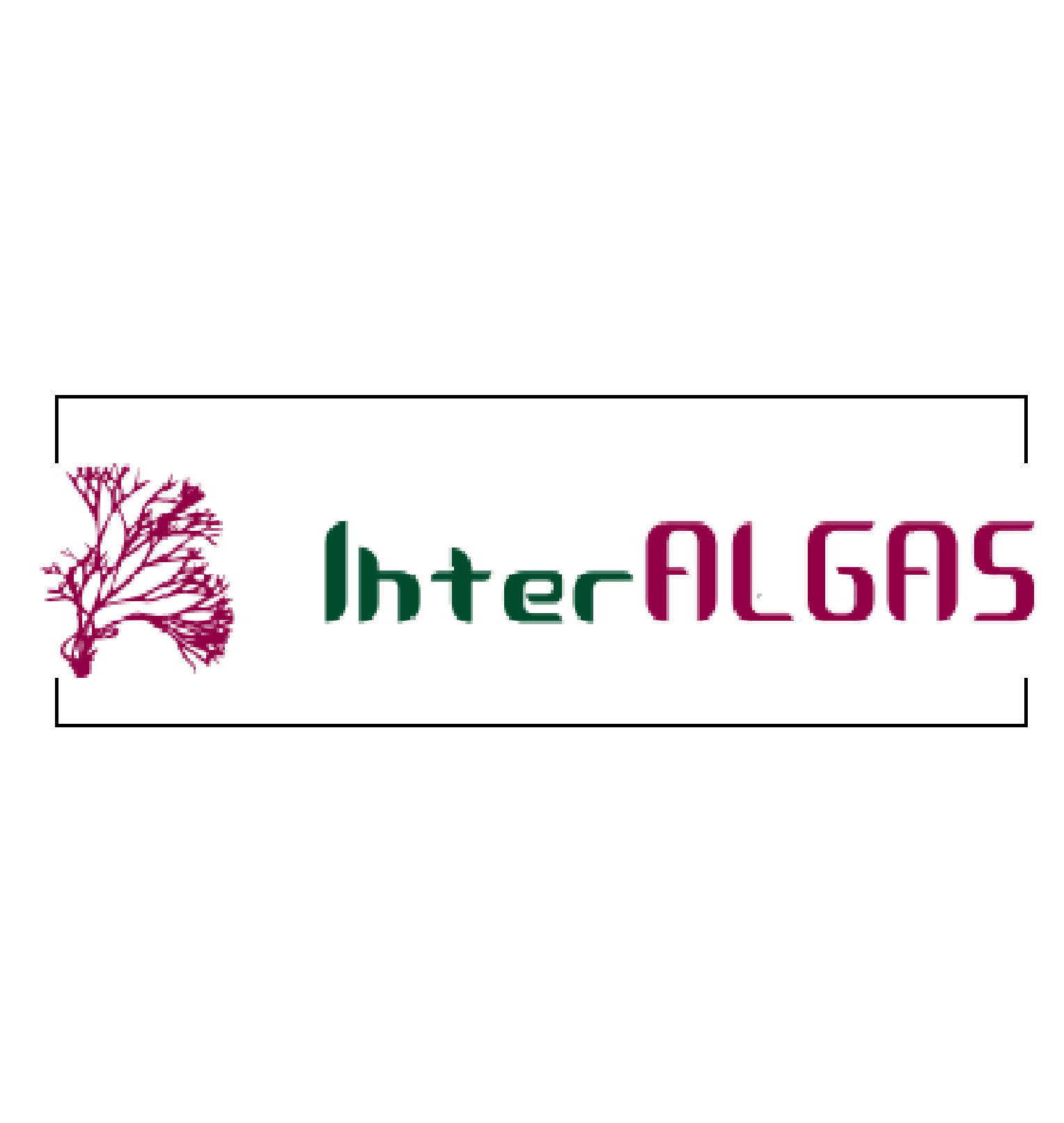 Interalgas S.A. logo