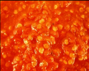 RED TABASCO PEPPER MASH 10% SALT, 2% ACIDITY product image