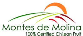 Montes de Molina SPA logo