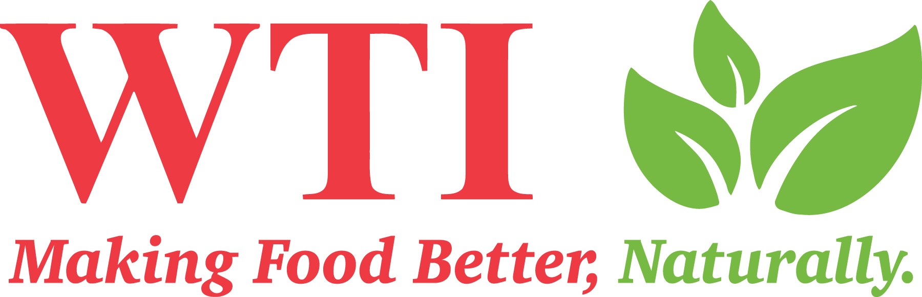 WTI, Inc logo