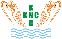 K.N.C. Agro Limited logo