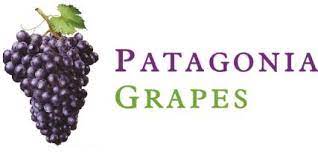 PATAGONIA GRAPES S.A. logo