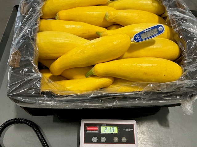 YELLOW SQUASH product image