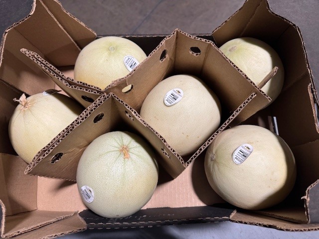 Honeydew product image
