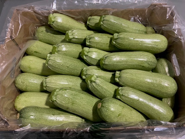 gray squash product image