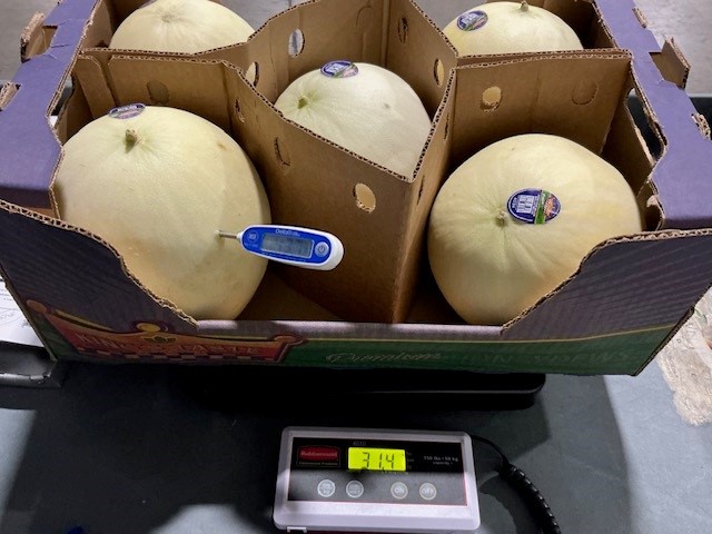 HONEYDEW MELONS 6CT product image