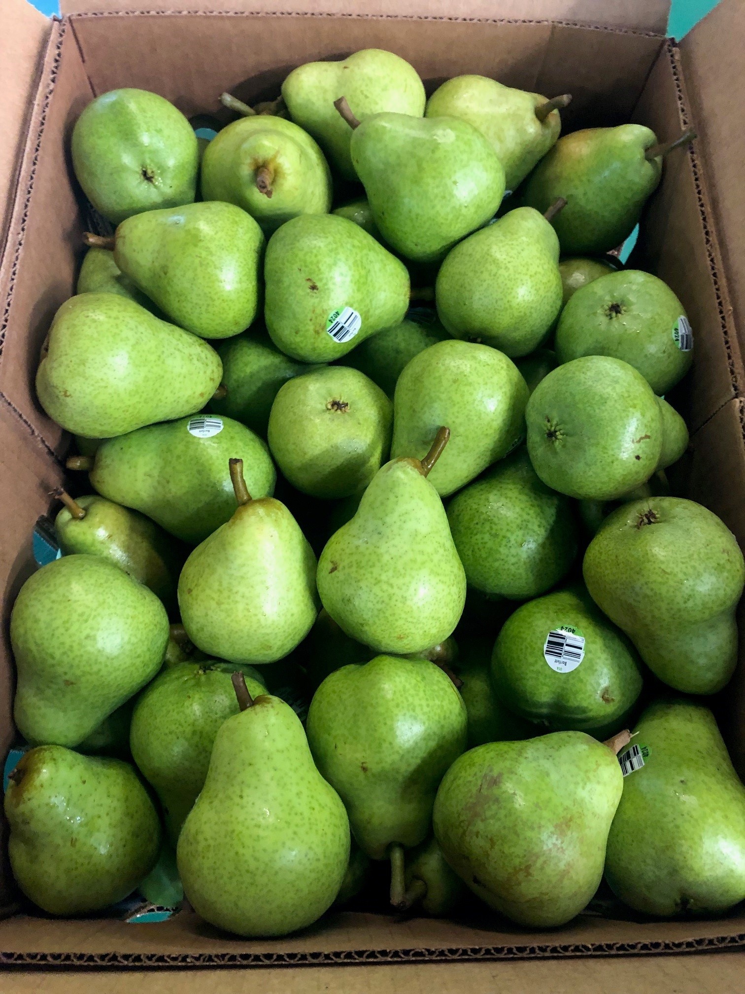 BARTLETT PEARS product image