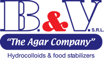 B & V srl logo