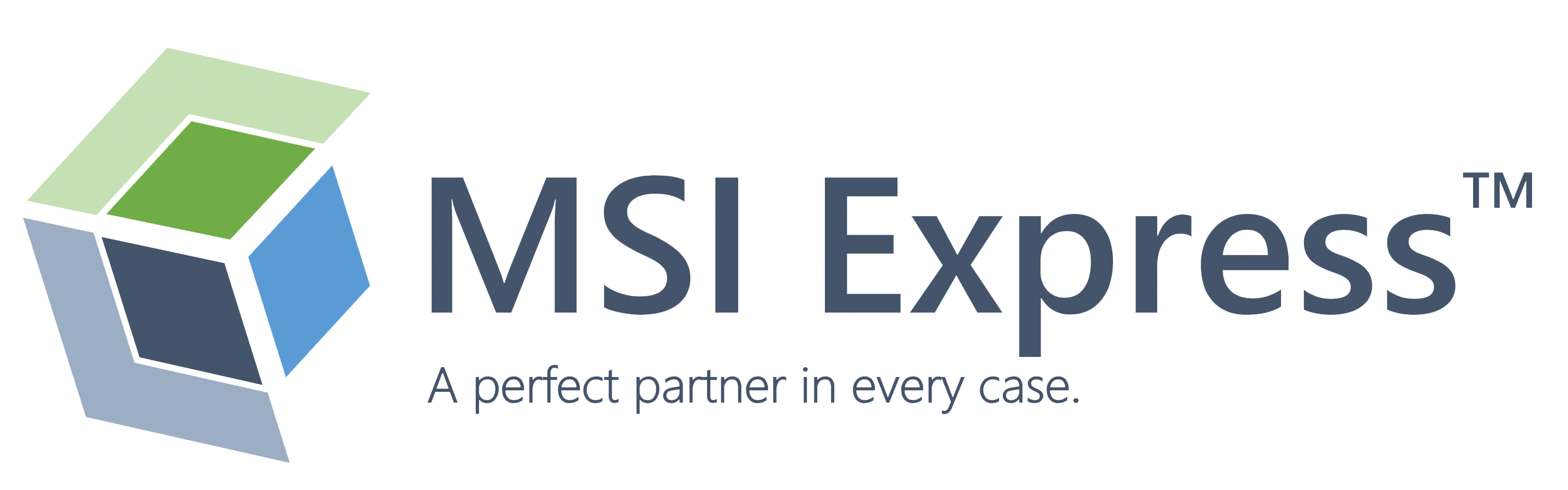 MSI EXPRESS logo