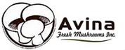 Avina Fresh Mushrooms Inc. logo