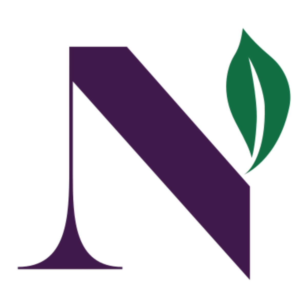 New Acai Amazonas logo