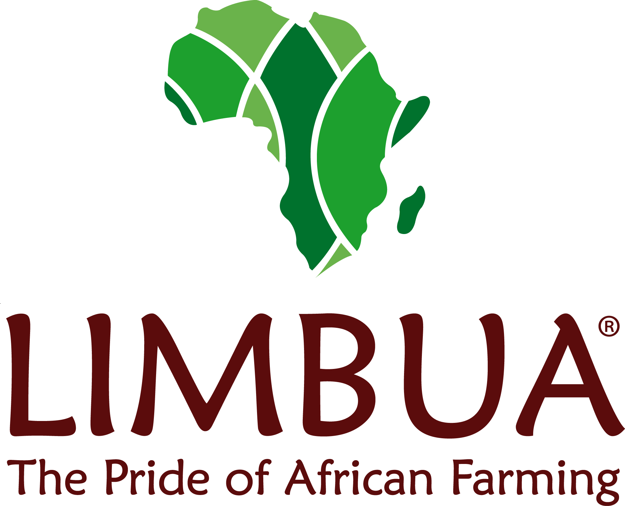 LIMBUA Deutschland GmbH logo