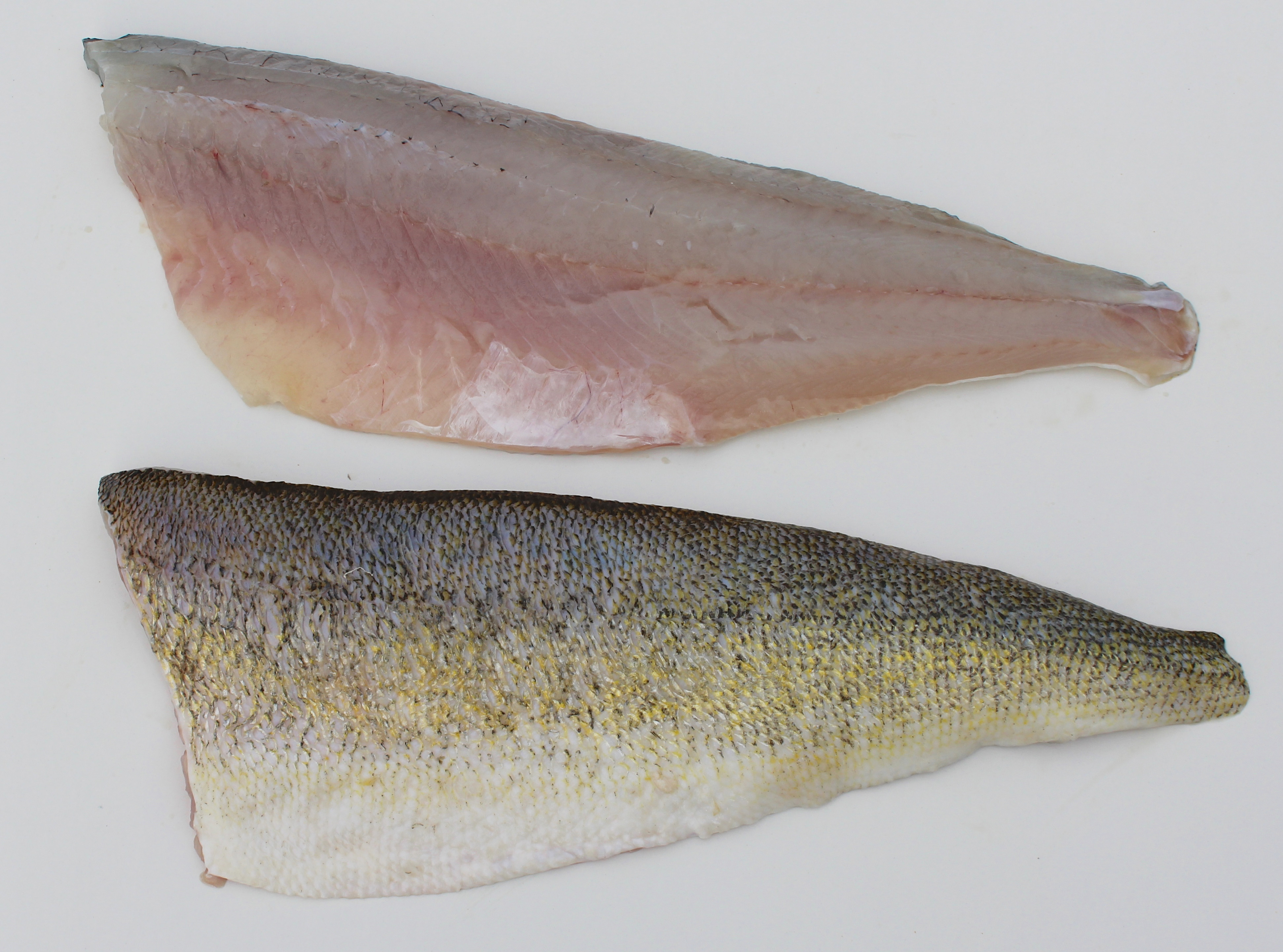 Lake Erie Walleye Fillets- 6-8 oz product image