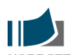 DOMINO NORDESTE COMERCIAL LTDA logo
