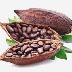Natural Cocoa Flavor product image
