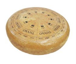 Thybo firm cow cheese product image