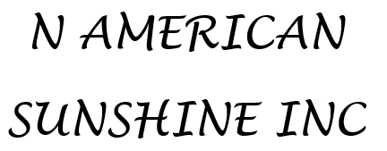 N AMERICAN SUNSHINE INC logo