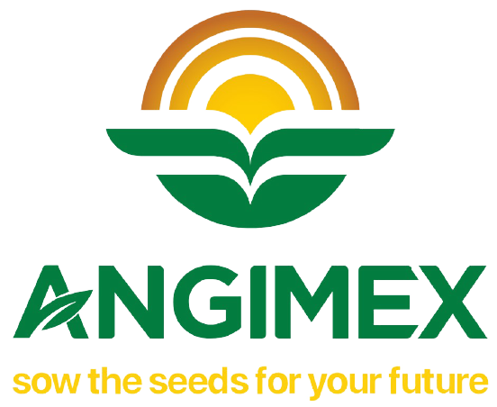 An Giang Import – Export Company logo