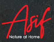 Asif food industries LTD logo