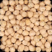 Chickpea #2OB CAD product image