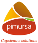 Pimursa SL logo